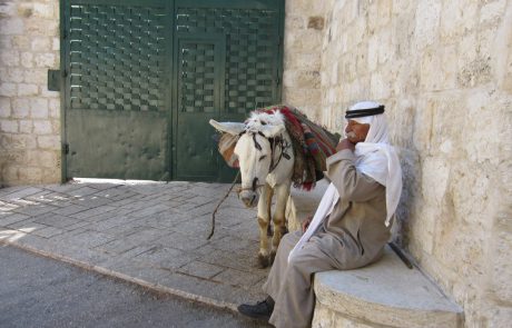 Why Are Arab Israelis So Underrepresented in the Start Up Nation?