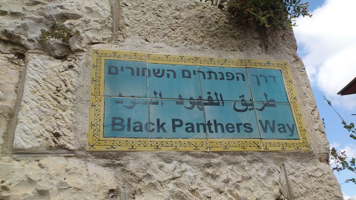 The Israeli Black Panthers Movement