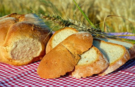 Bread from the Earth: Food Justice Ceremony
