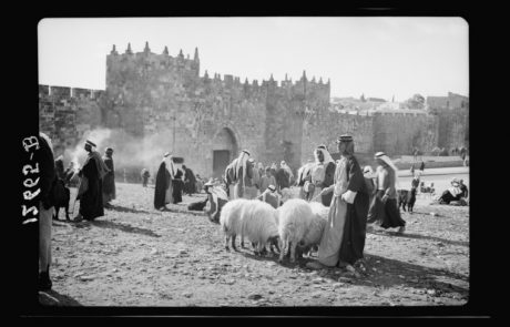 The History of the Old City of Jerusalem