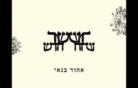 Ehud Banai: Mizrahi Influenced Eshet Chayil
